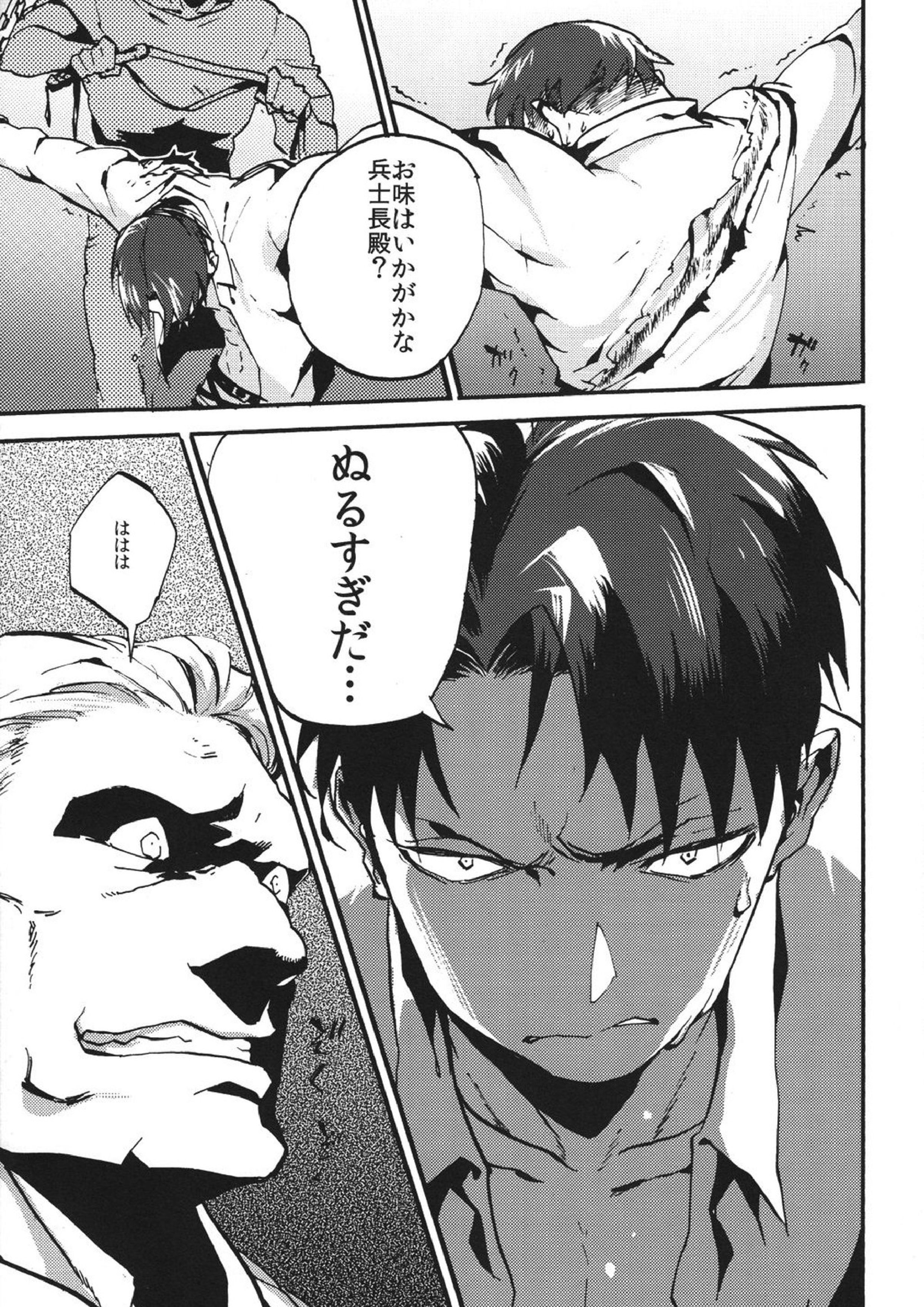 鳴かぬなら 鳴かせてやろう ホトトギス 18ページ