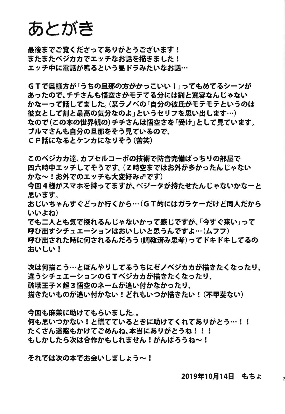 いいかげんしろカカロット!!! 24ページ