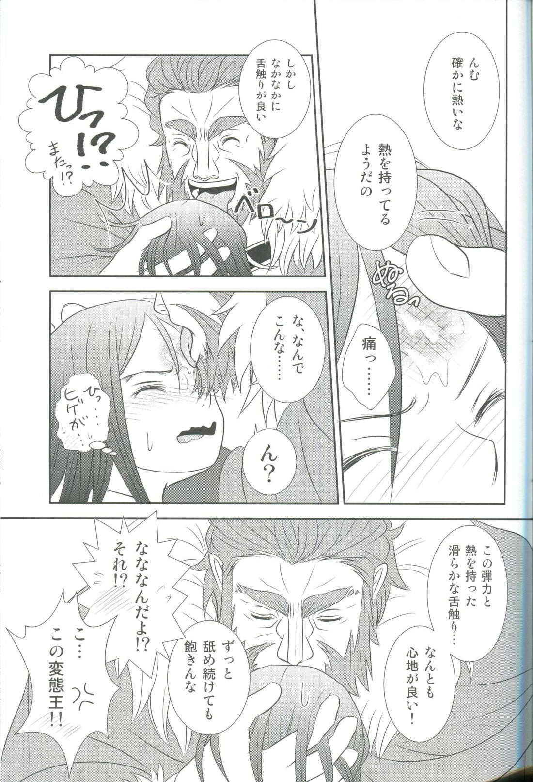 Accel Zero Reorder 23ページ