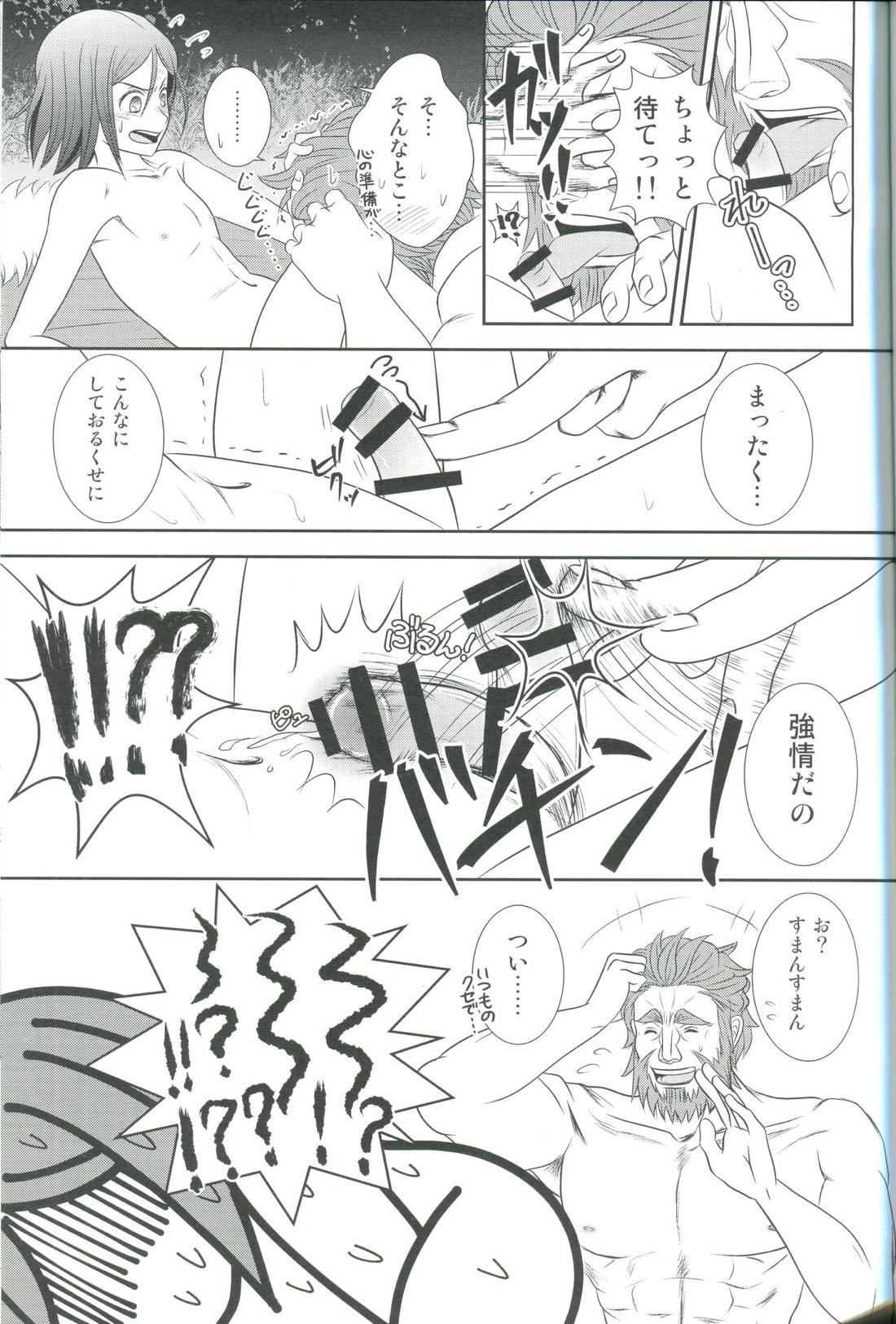 Accel Zero Reorder 29ページ