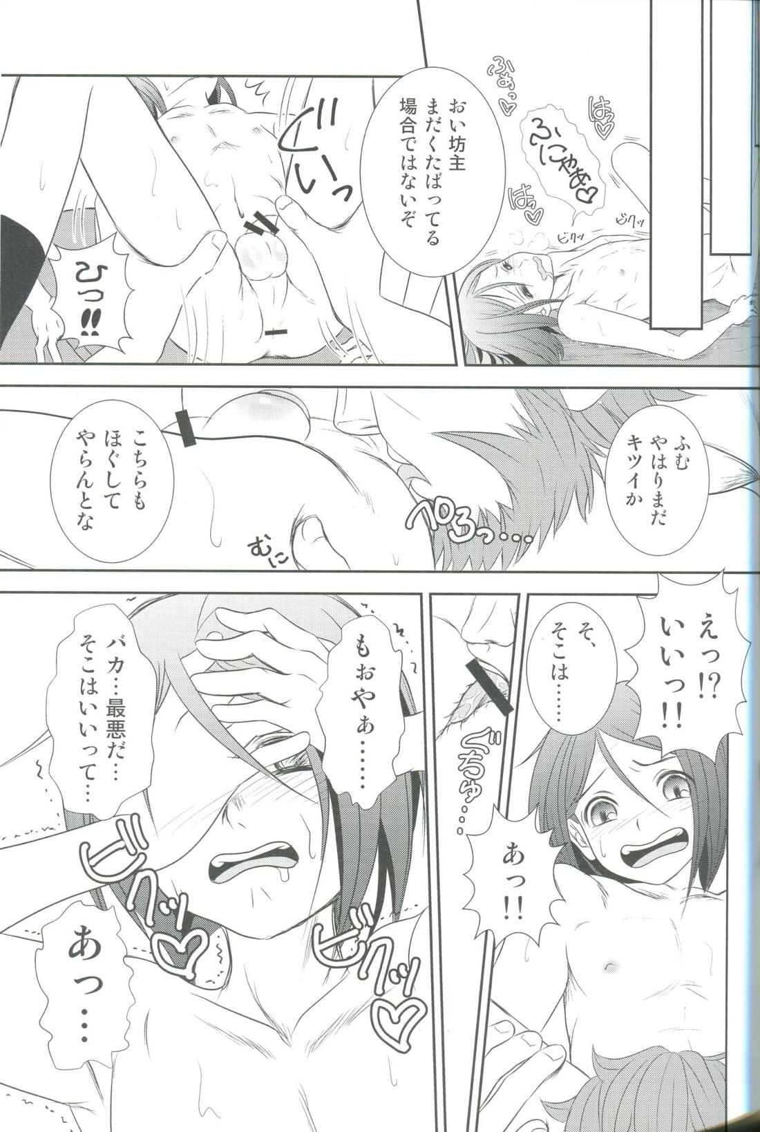 Accel Zero Reorder 35ページ