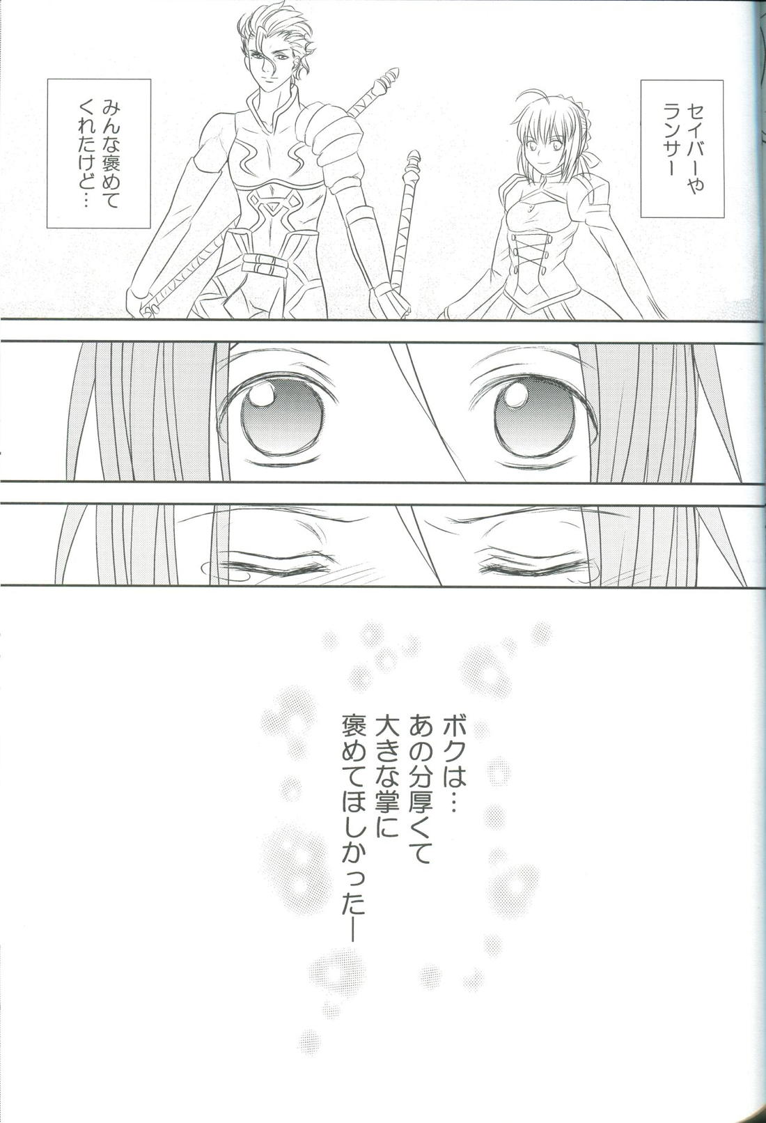 Accel Zero Reorder 49ページ