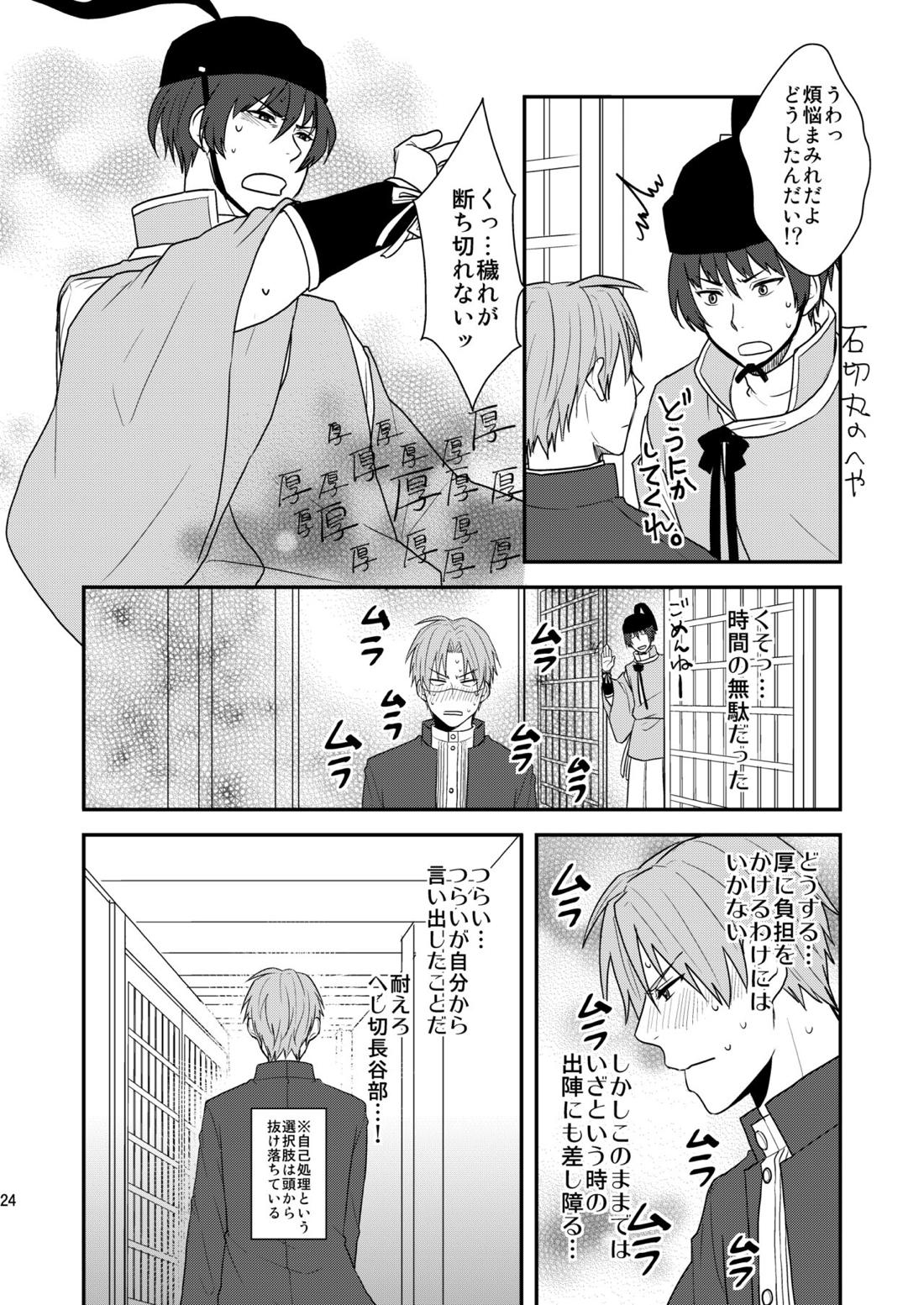 御しきれぬはおのれのこころ 22ページ