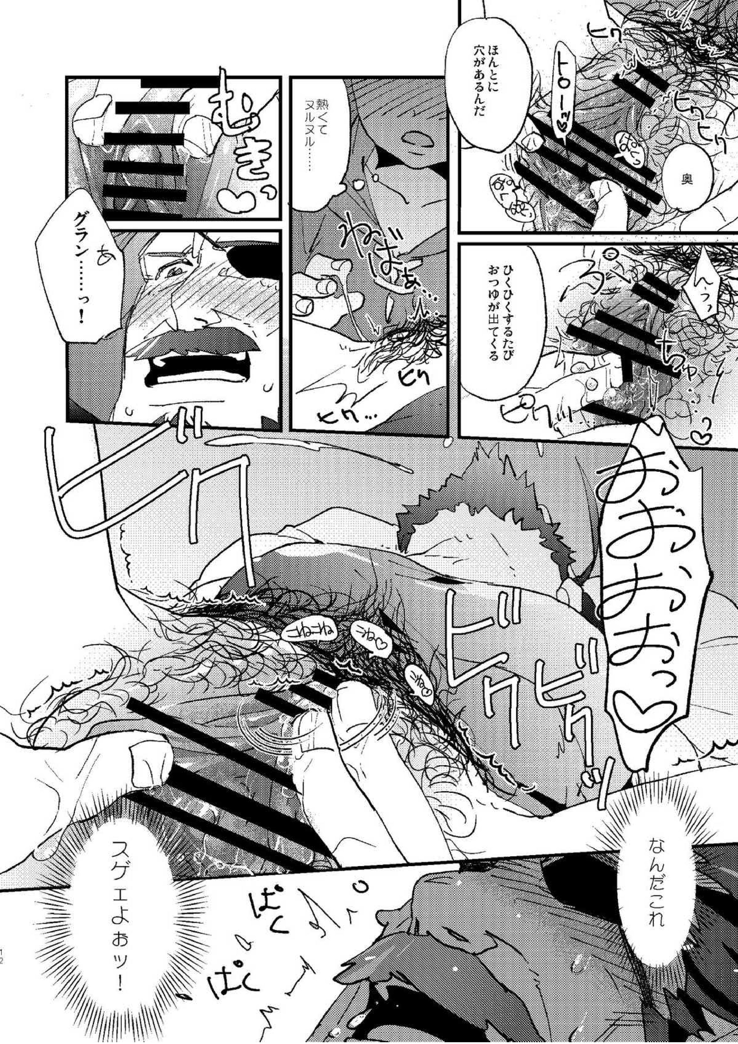 星晶獣のチカラってスゲー!! 10ページ