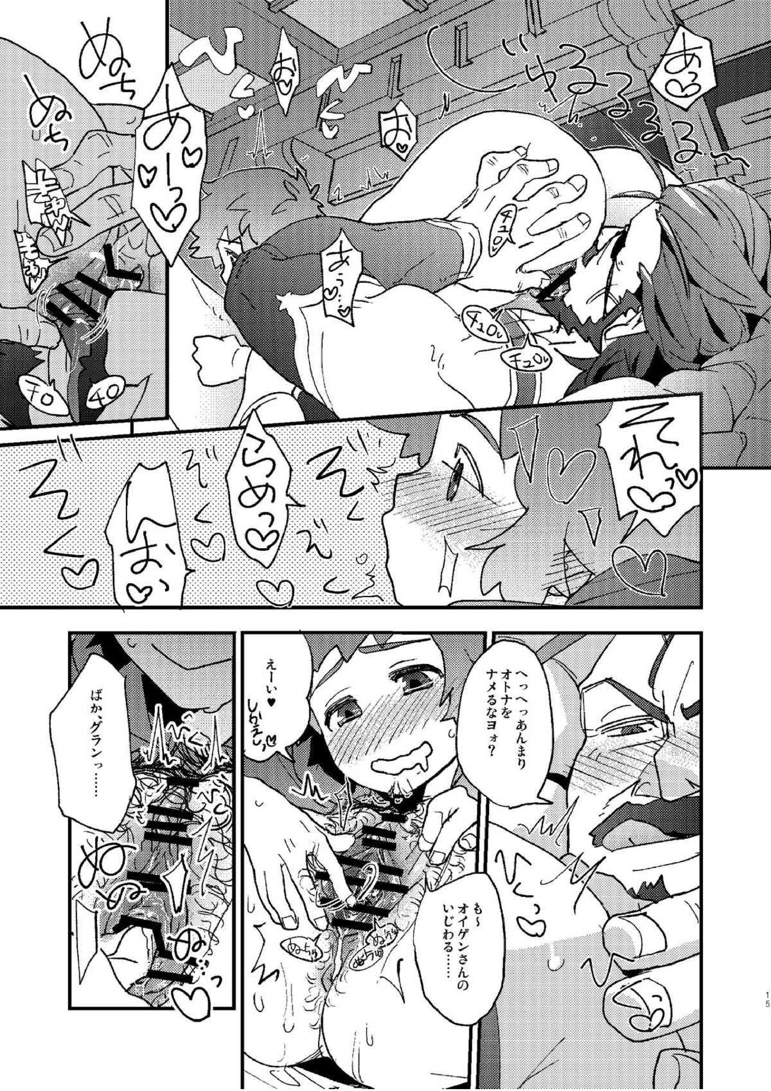 星晶獣のチカラってスゲー!! 13ページ