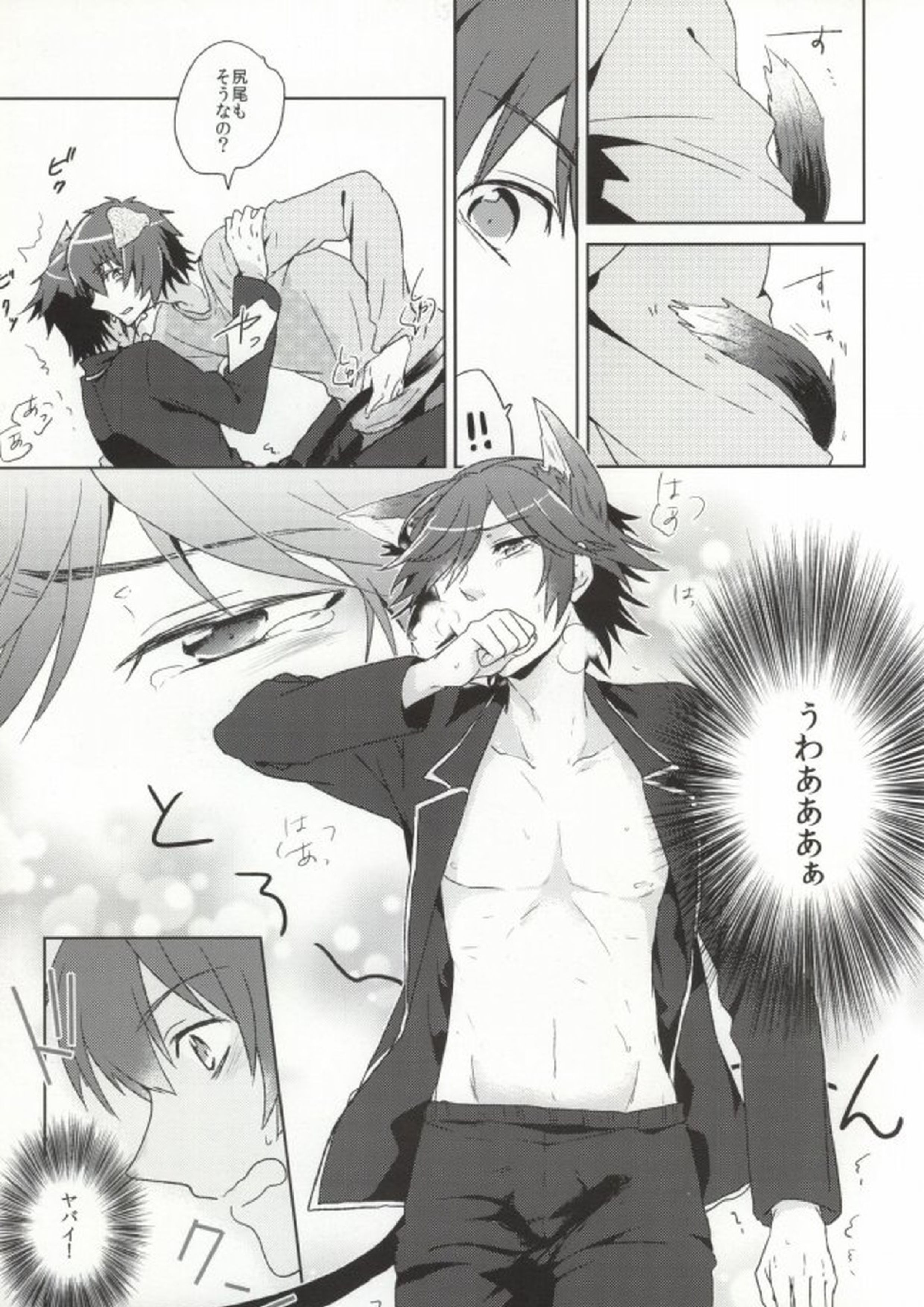 801WNW1 11ページ