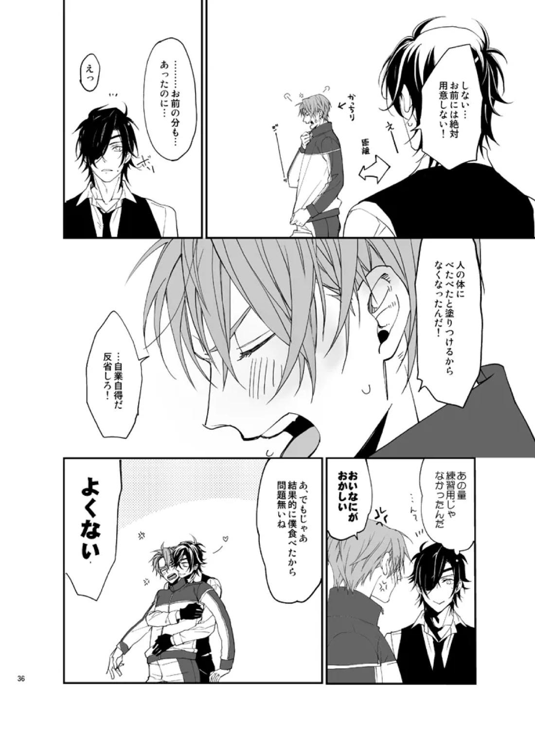 本丸活動記録集 33ページ