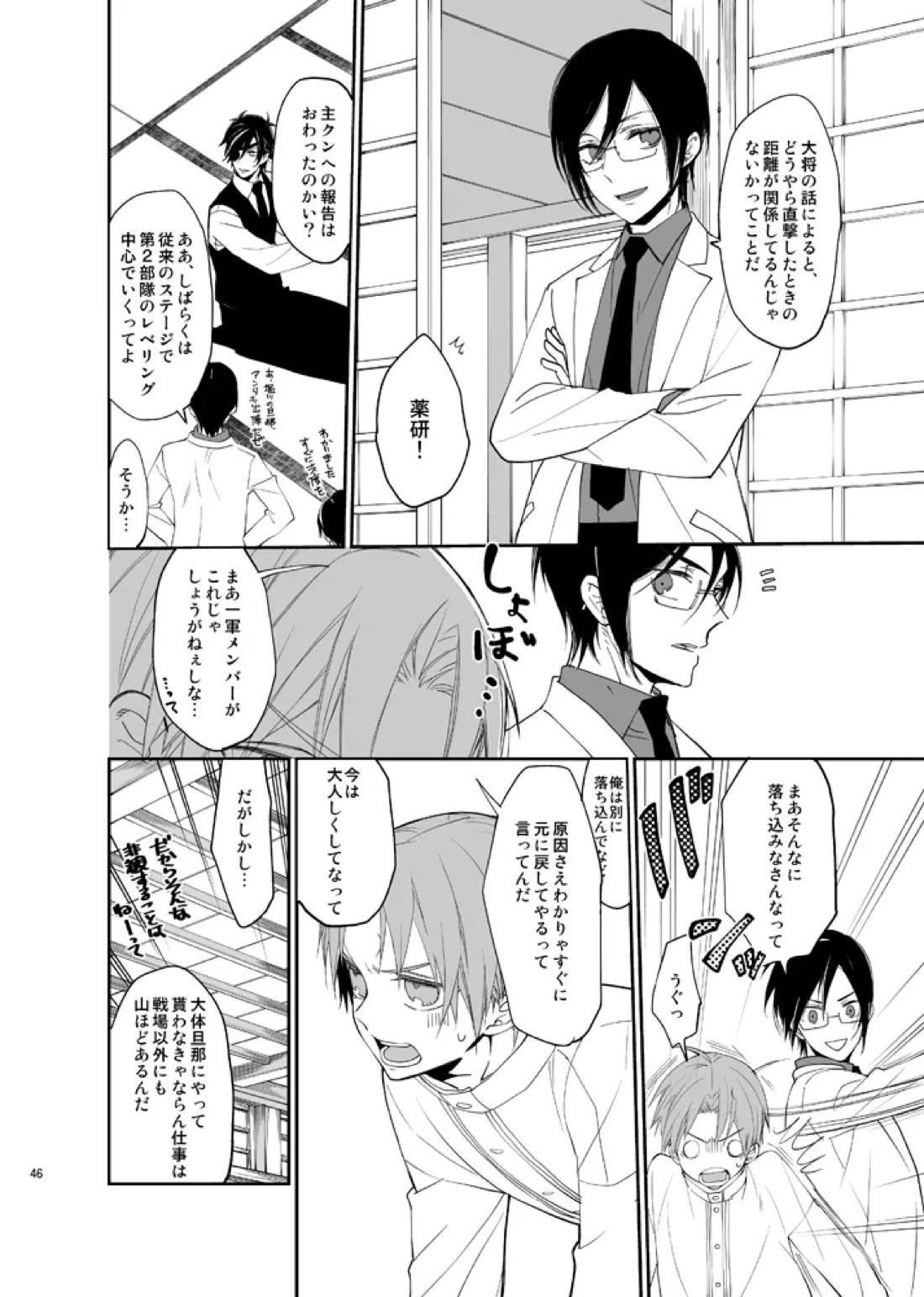 本丸活動記録集 43ページ