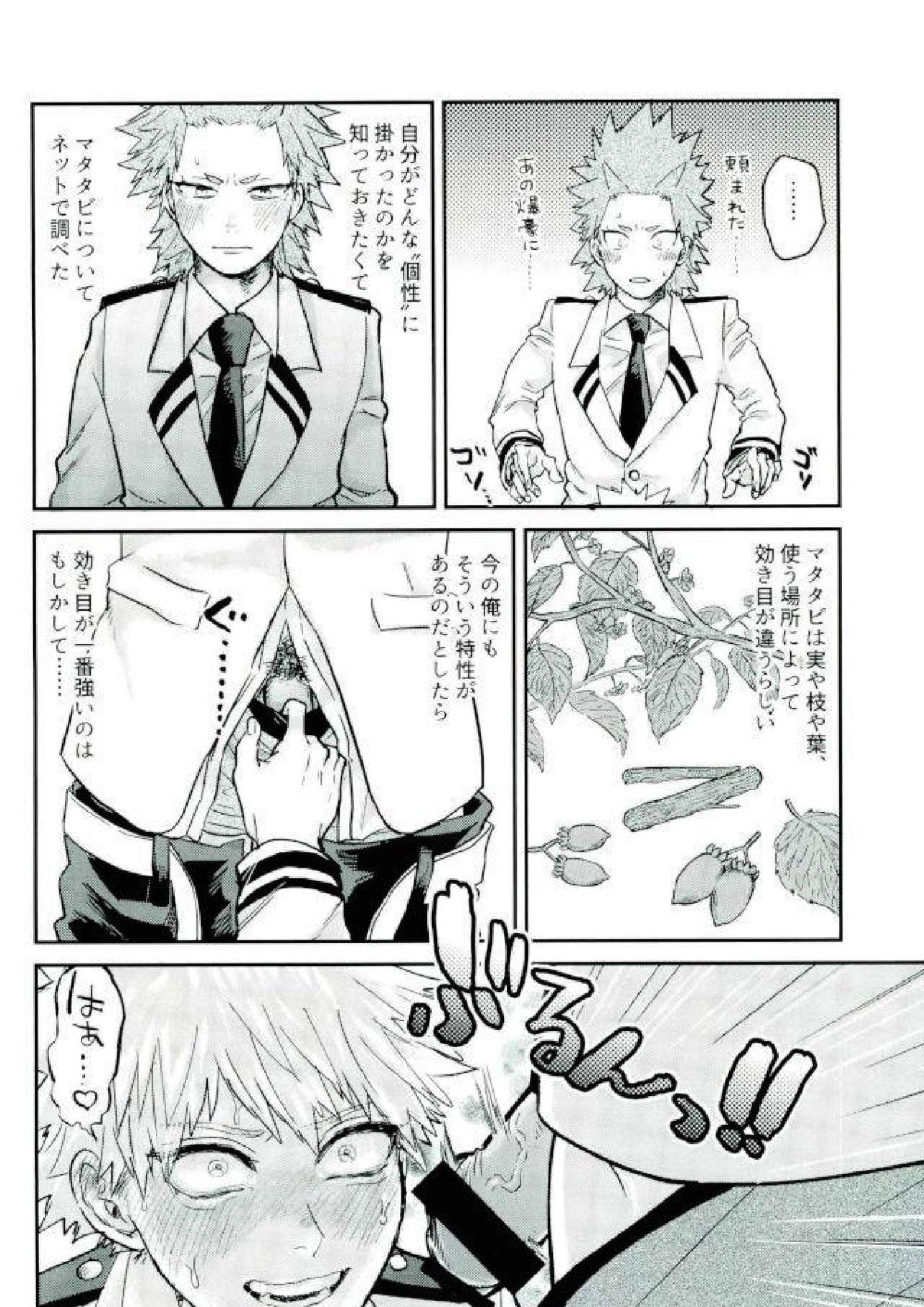 木天蓼 13ページ