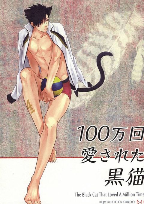 100万回愛された黒猫