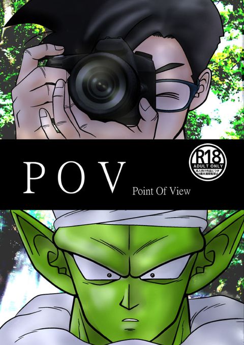 POV
