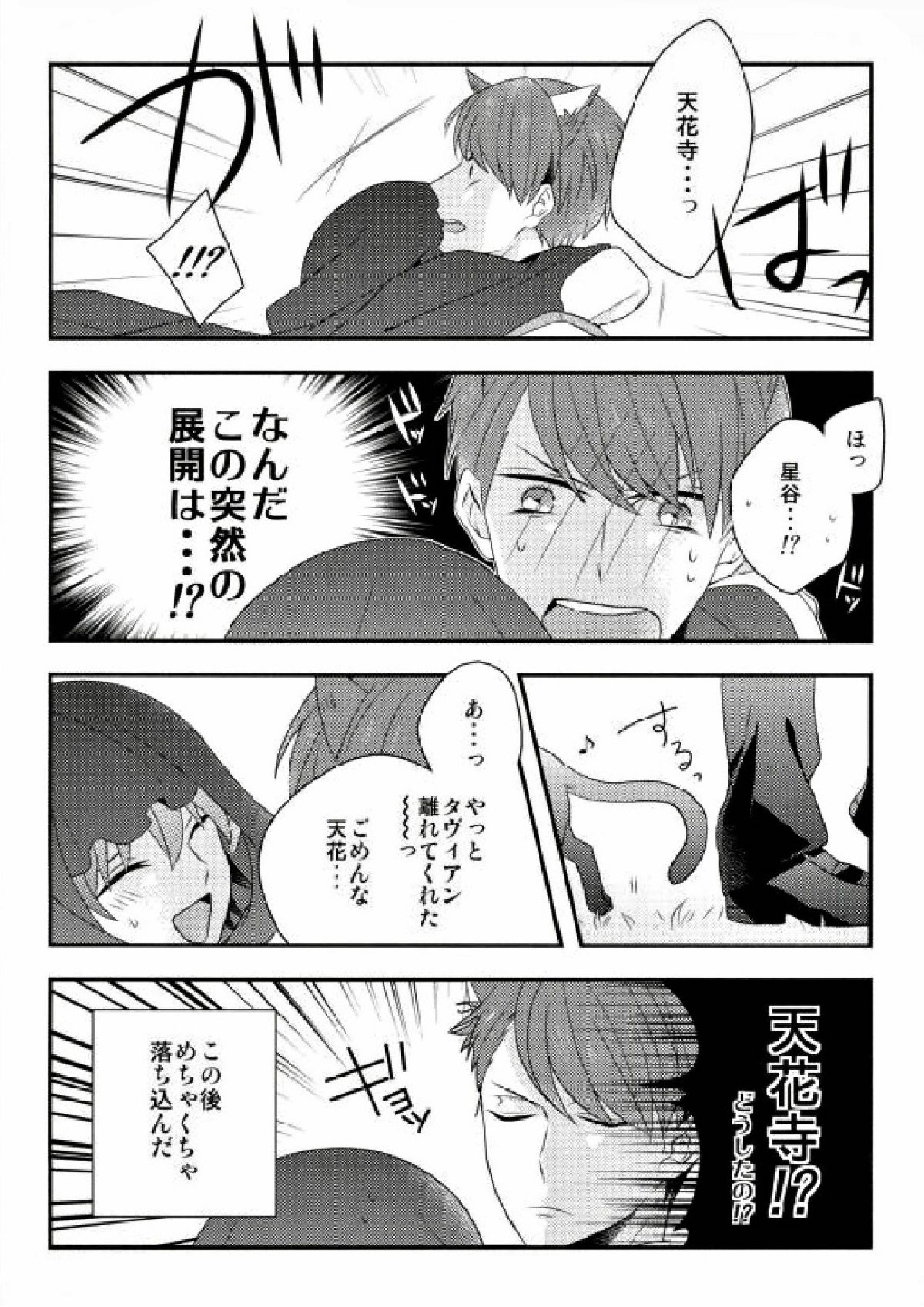 はじめてのおつかい 11ページ