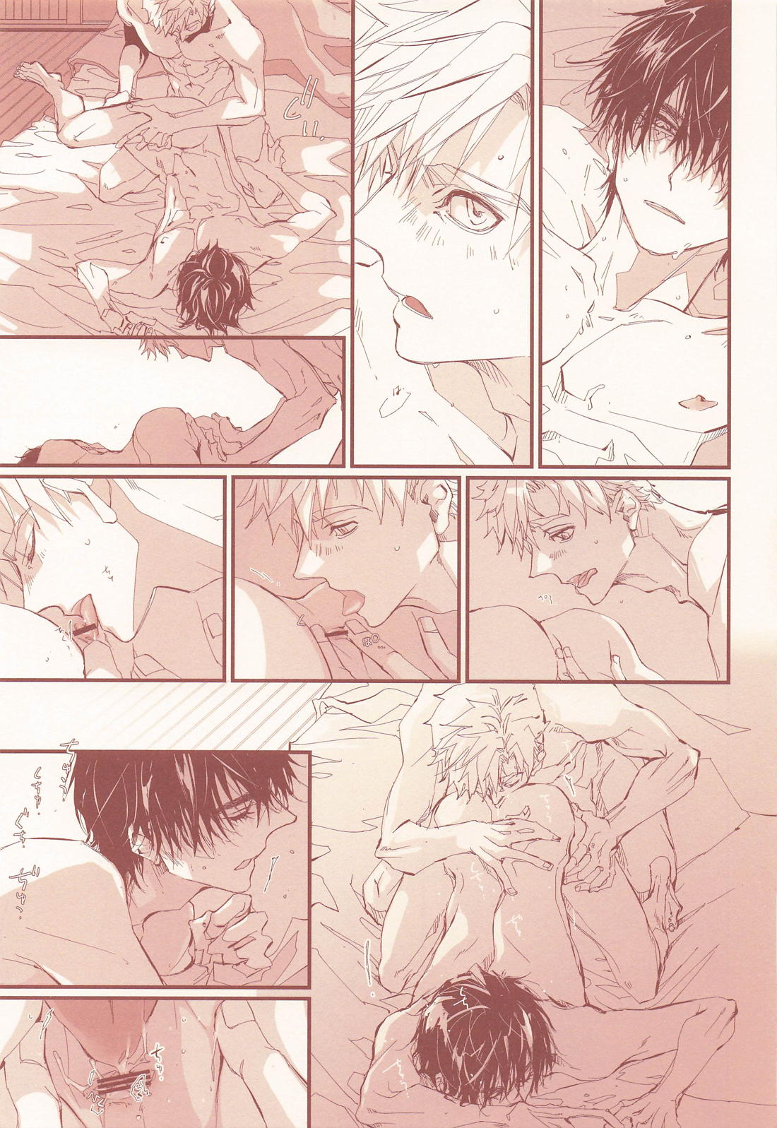 アポロンの劣情 14ページ