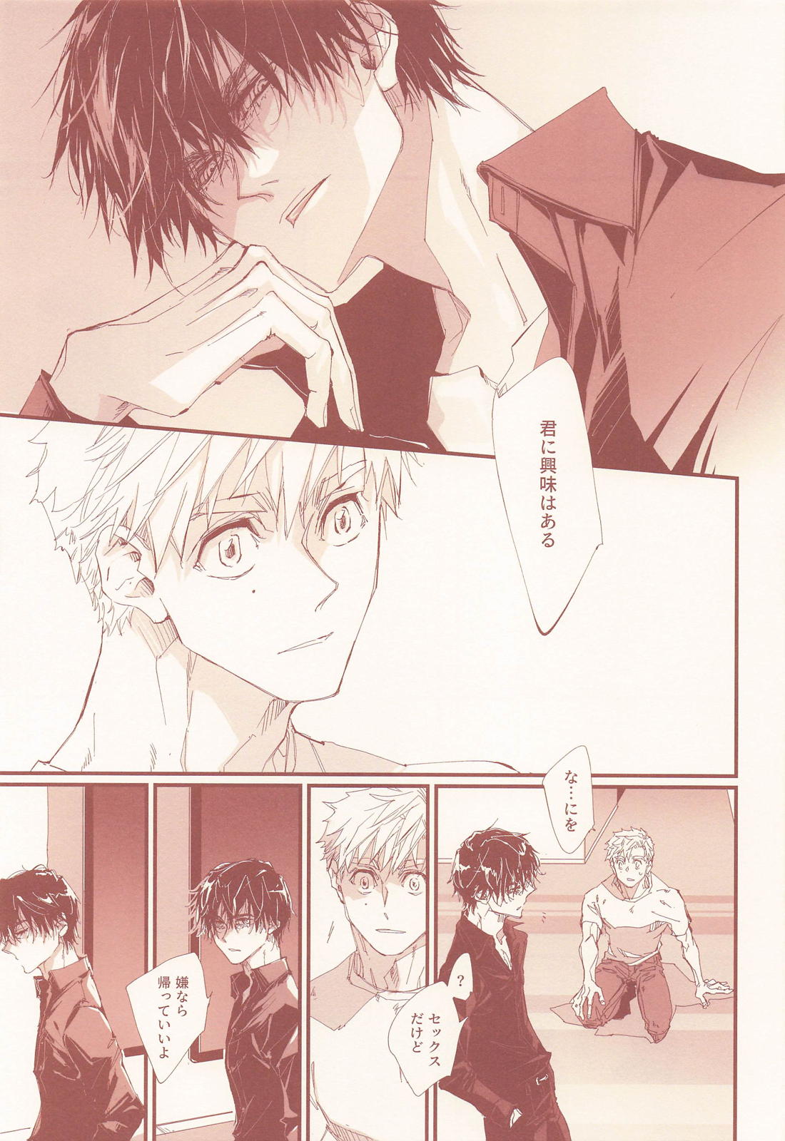 アポロンの劣情 30ページ