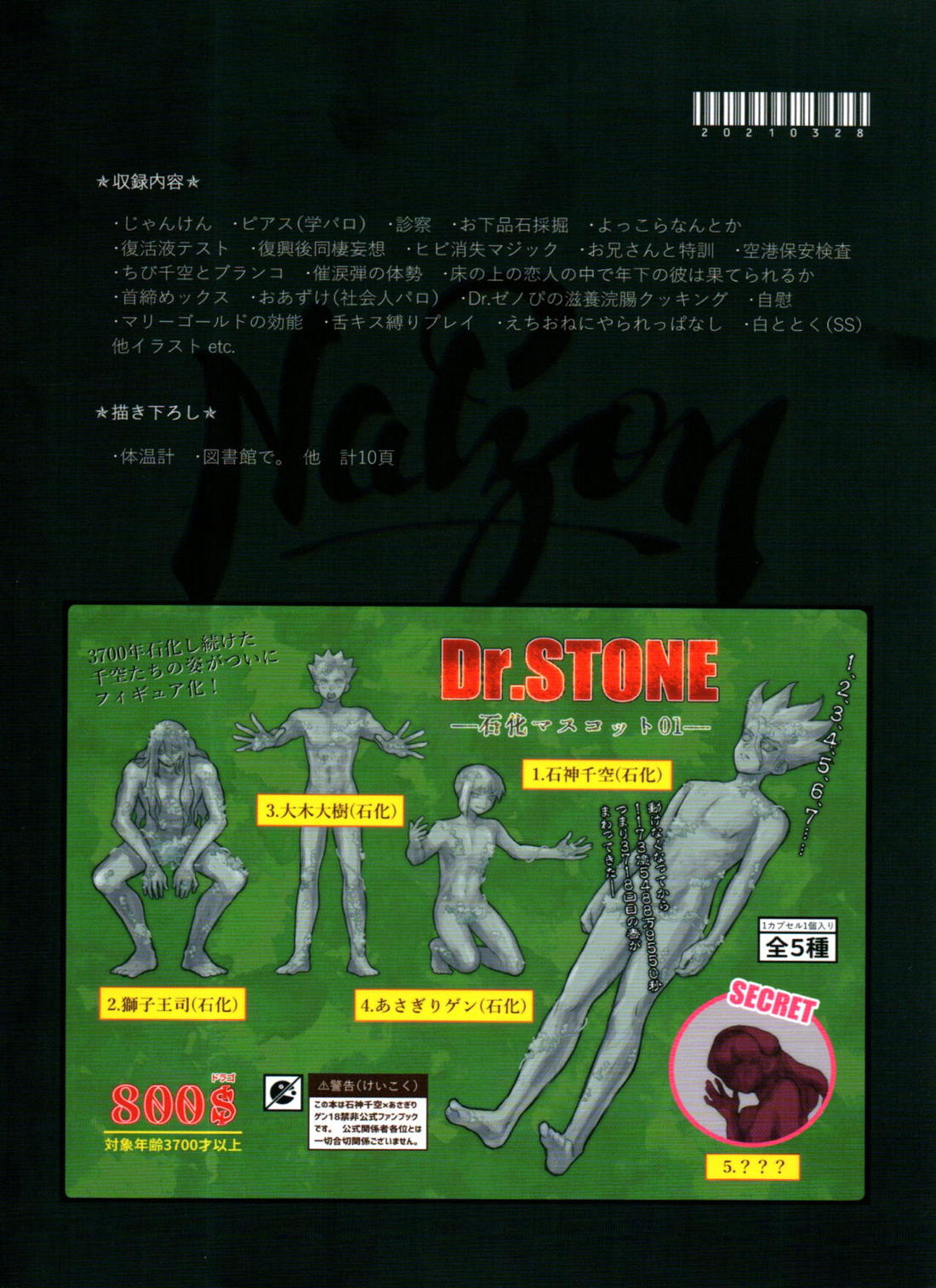 Dr.NAI ZONE 80ページ