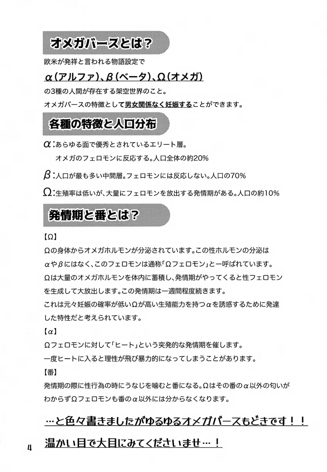 鈍感DESTINY 3ページ