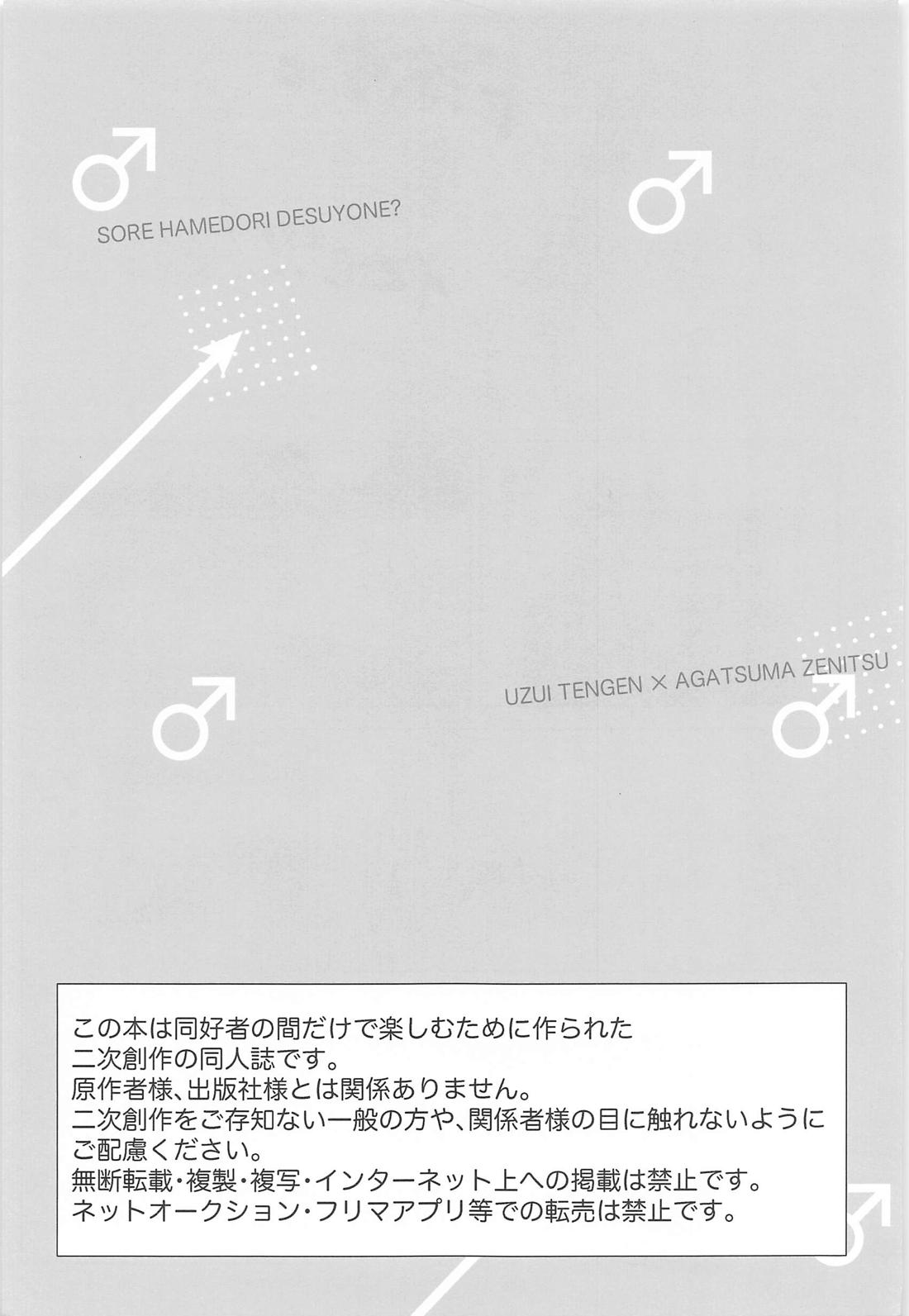 それハメ撮りですよね？ 2ページ
