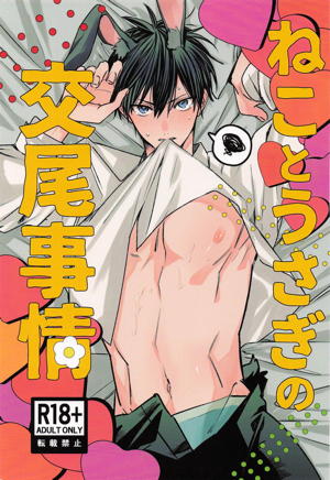 ねことうさぎの交尾事情