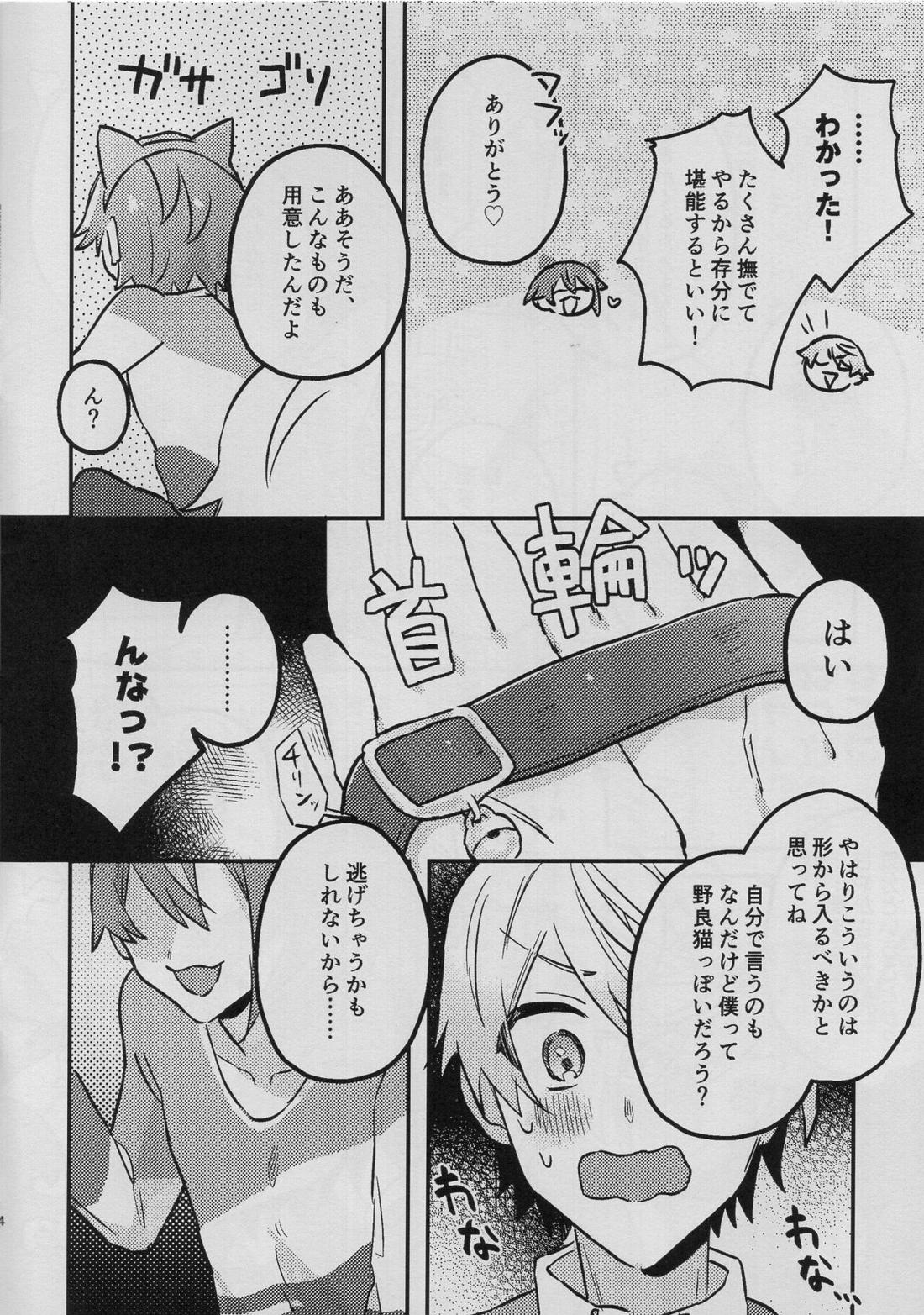 司類がにゃんにゃんする本 4ページ