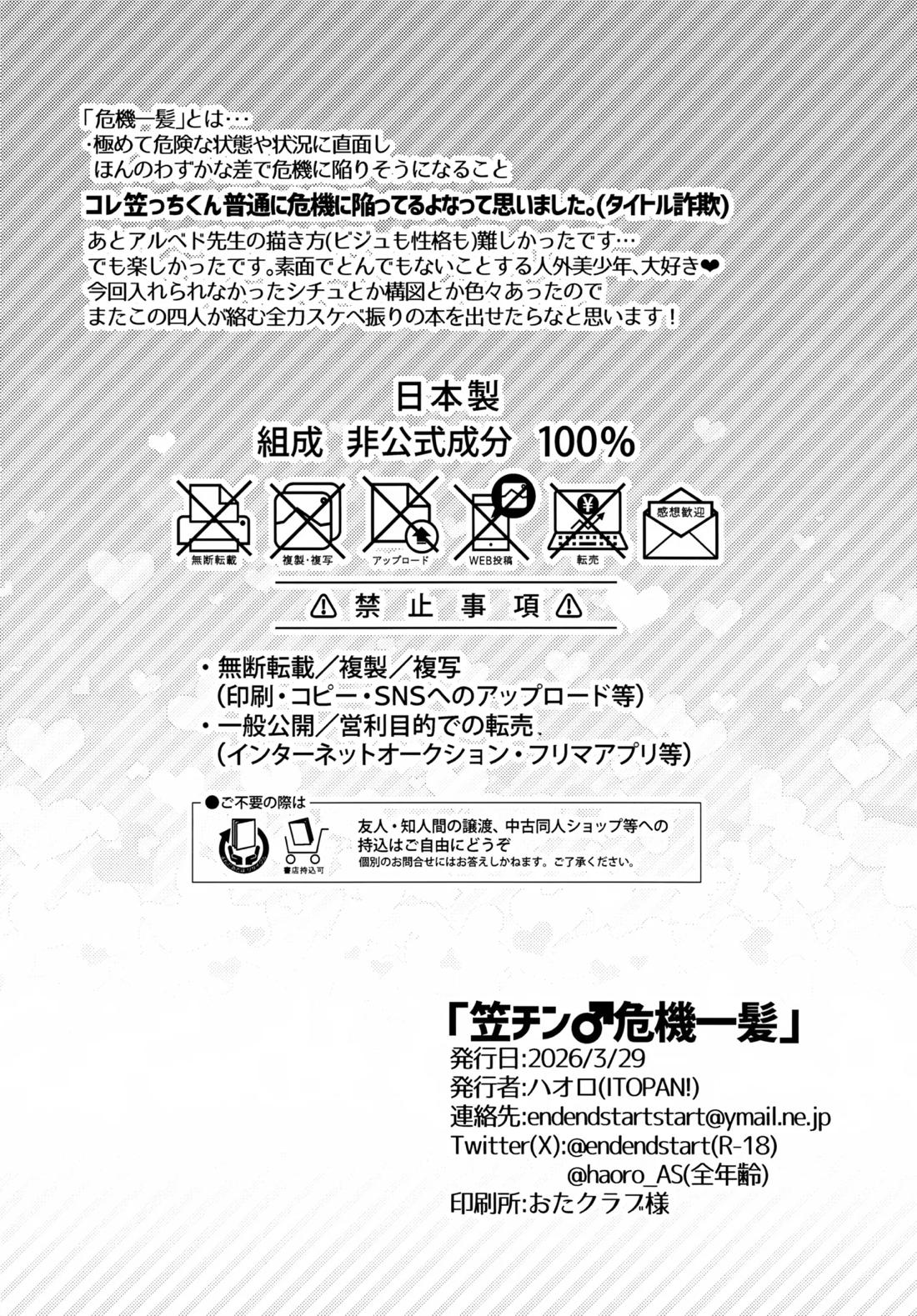 笠チン♂危機一髪 29ページ