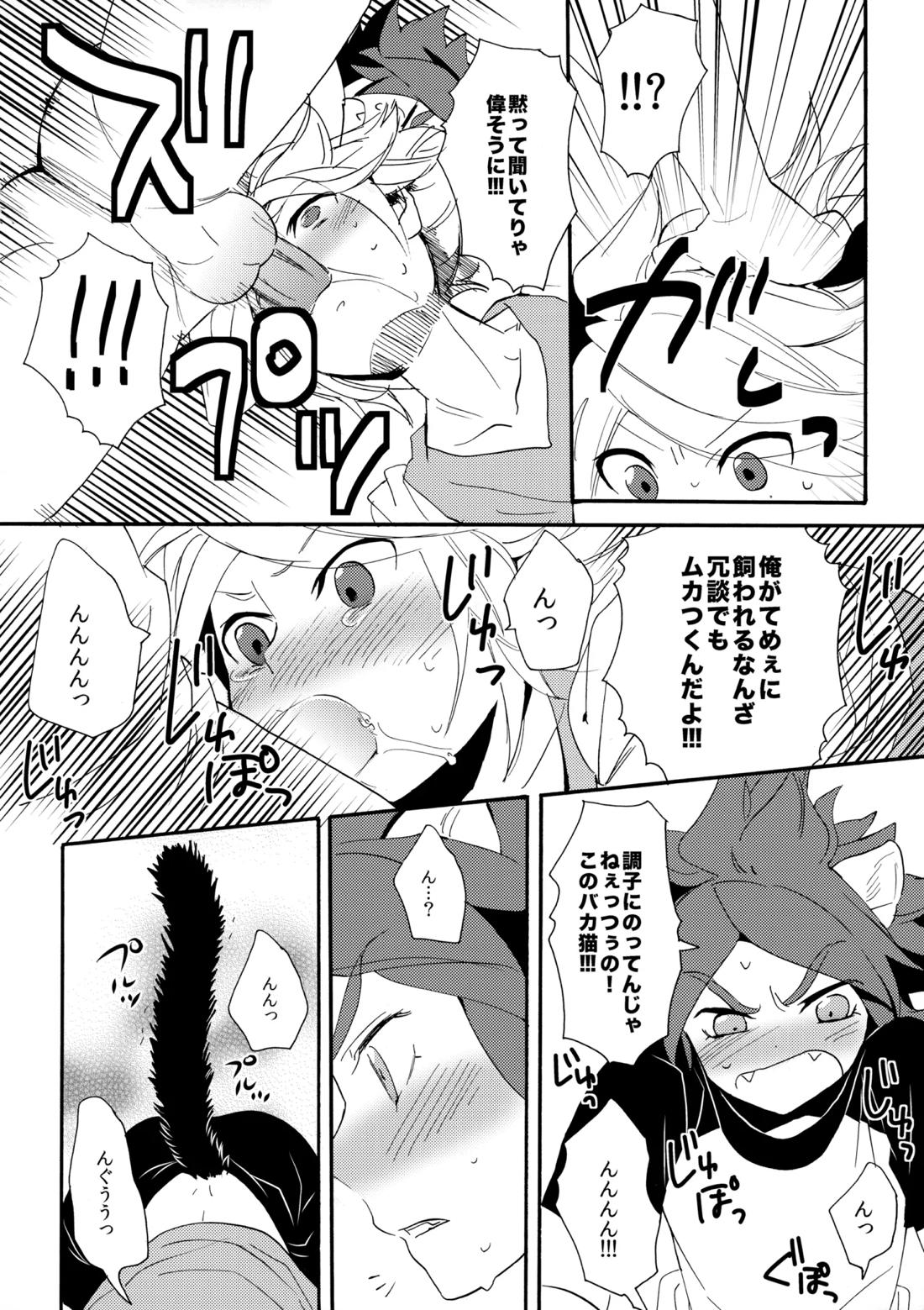 ワンにゃんカオス 13ページ