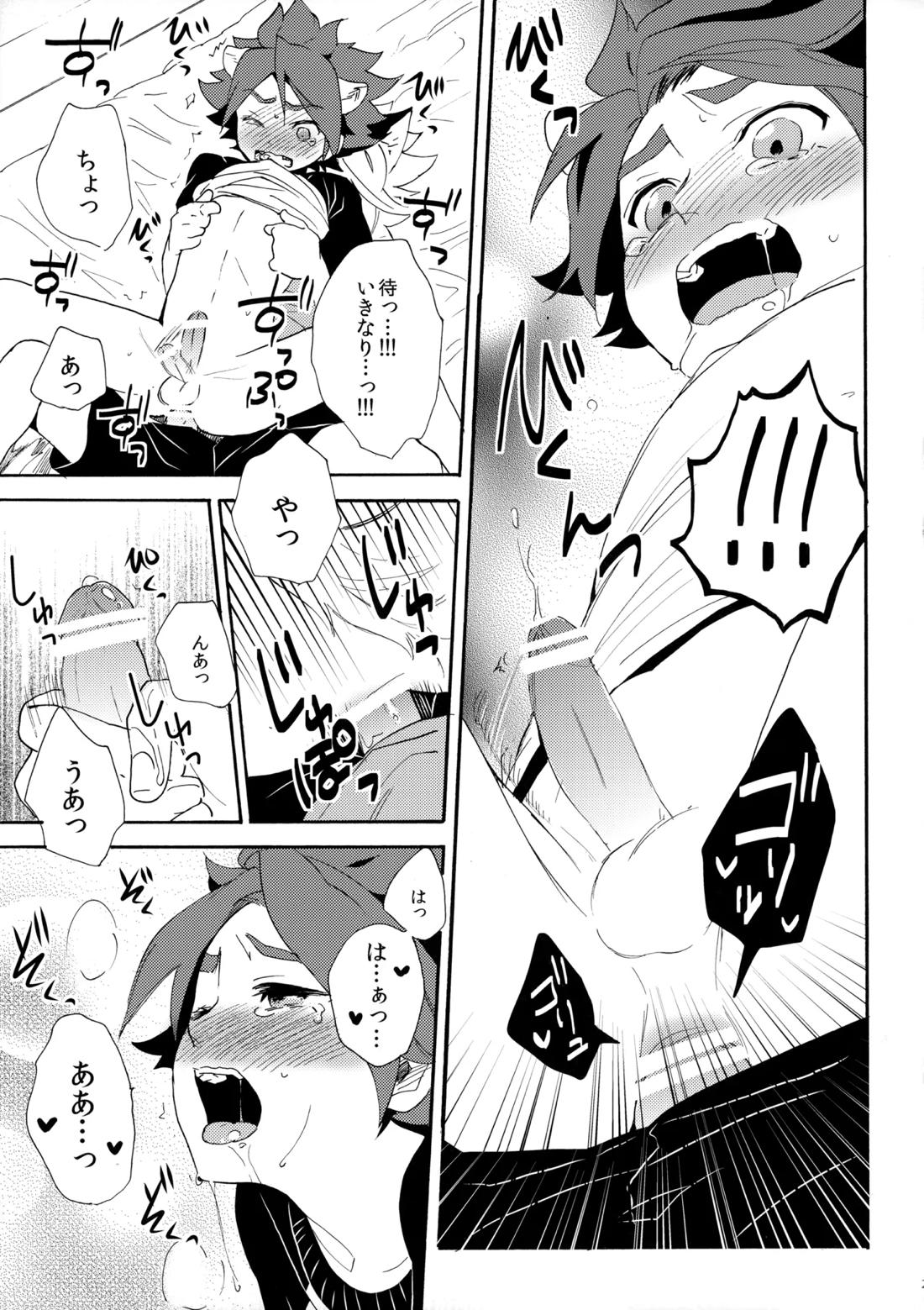 ワンにゃんカオス 24ページ