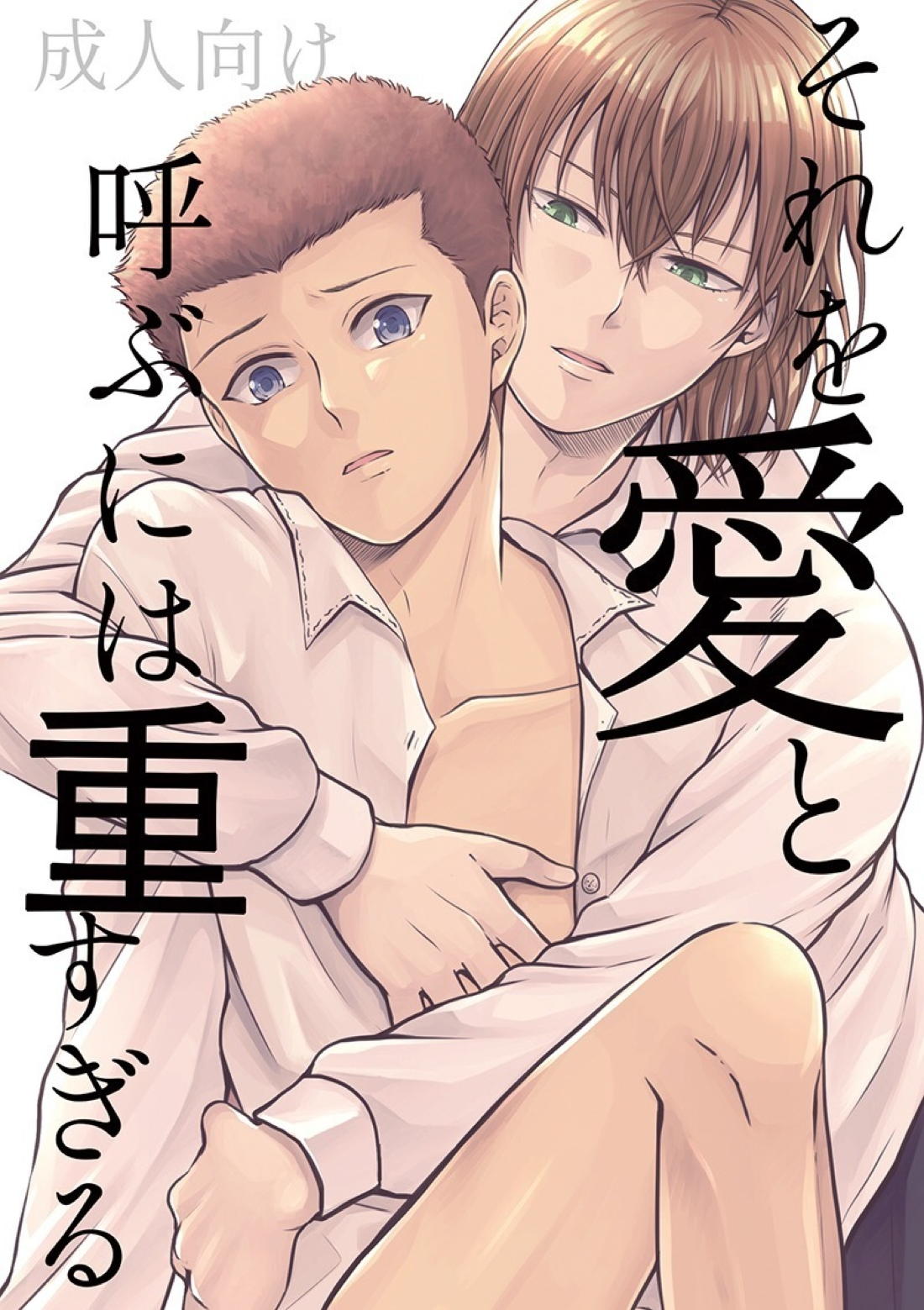 それを愛と呼ぶには重すぎる 1ページ