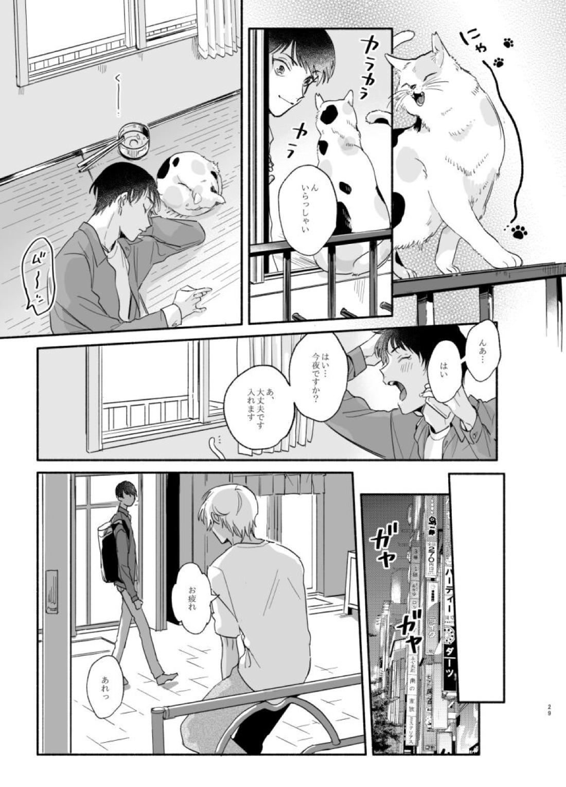 渡り鳥の宝箱 28ページ