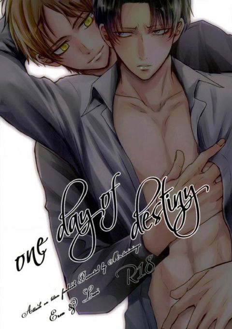 one day of destiny